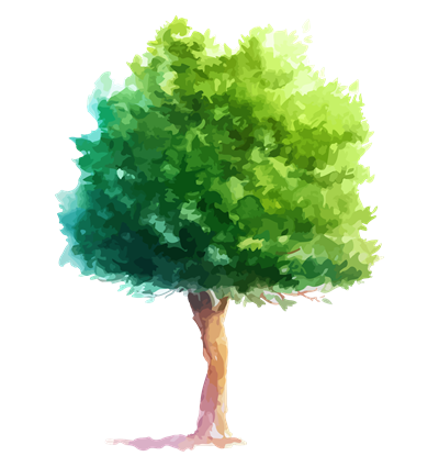 Trees