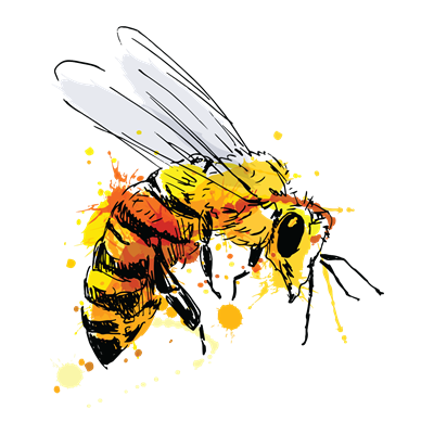 Bees