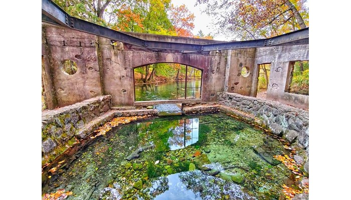 Paradise Springs