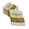Engagement Project Study Guide, 4 copies ($9.50 each + $6 shipping)